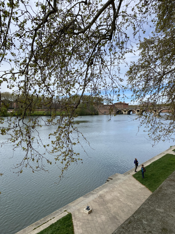 Offres de vente Appartement Toulouse 31000